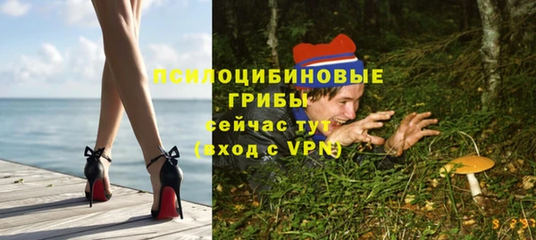 PSILOCYBIN Абинск