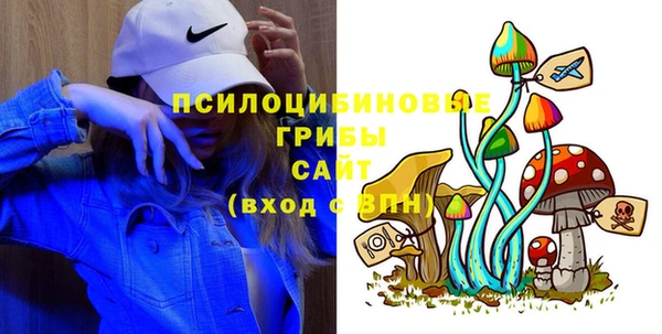 мдпв Абаза