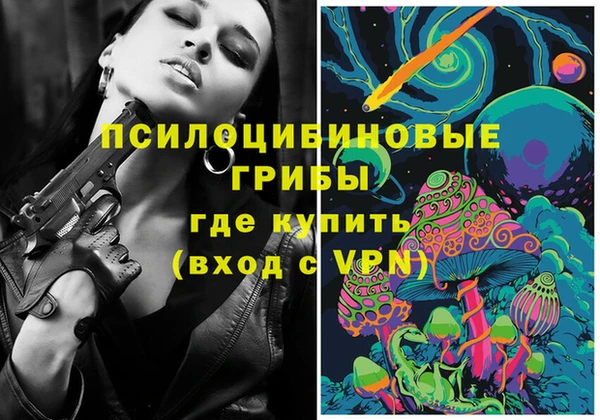 PSILOCYBIN Абинск